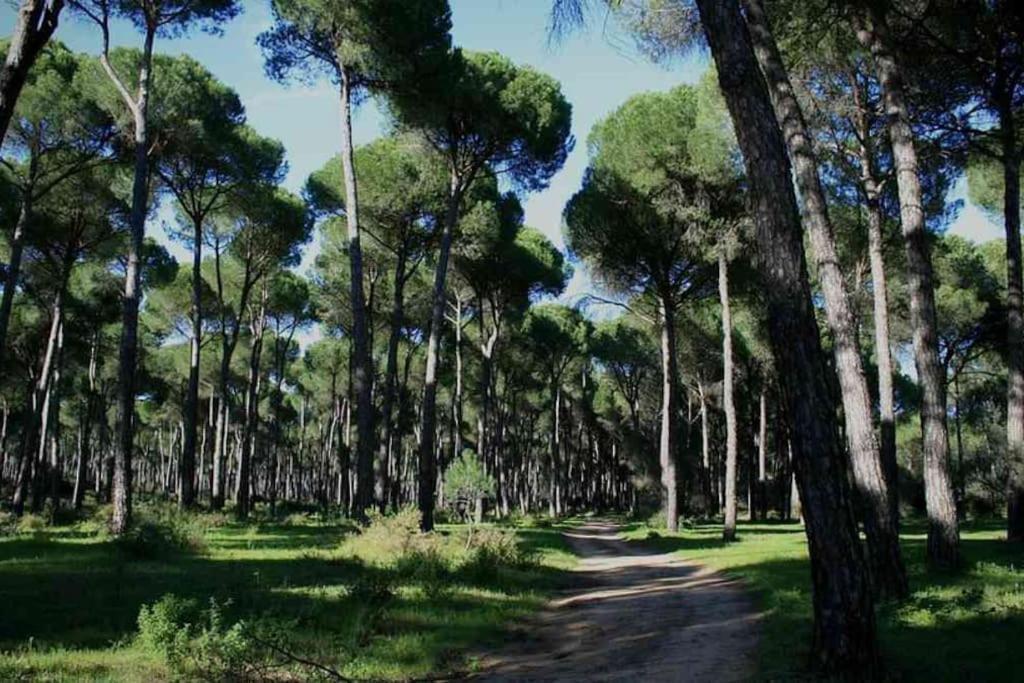 Sea Of Rome - Holiday Home ليدو دي أوستيا المظهر الخارجي الصورة