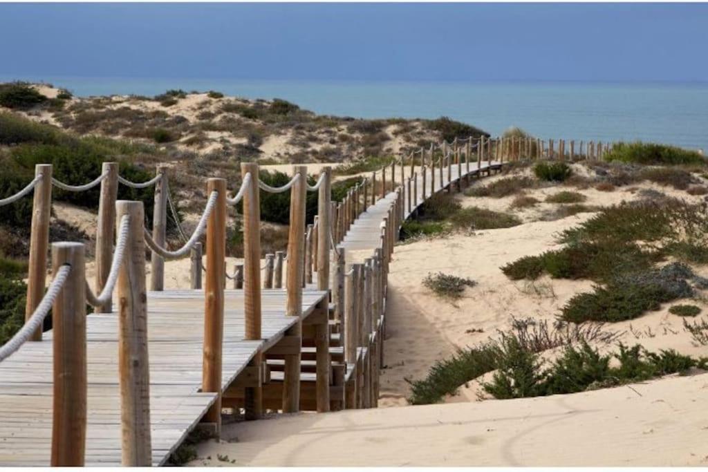 Sea Of Rome - Holiday Home ليدو دي أوستيا المظهر الخارجي الصورة
