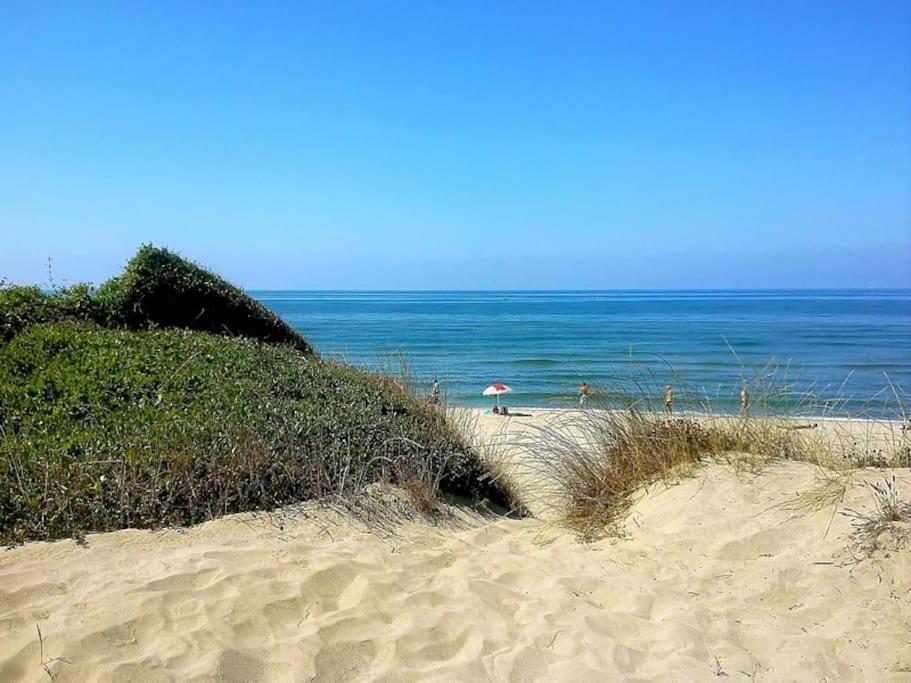Sea Of Rome - Holiday Home ليدو دي أوستيا المظهر الخارجي الصورة